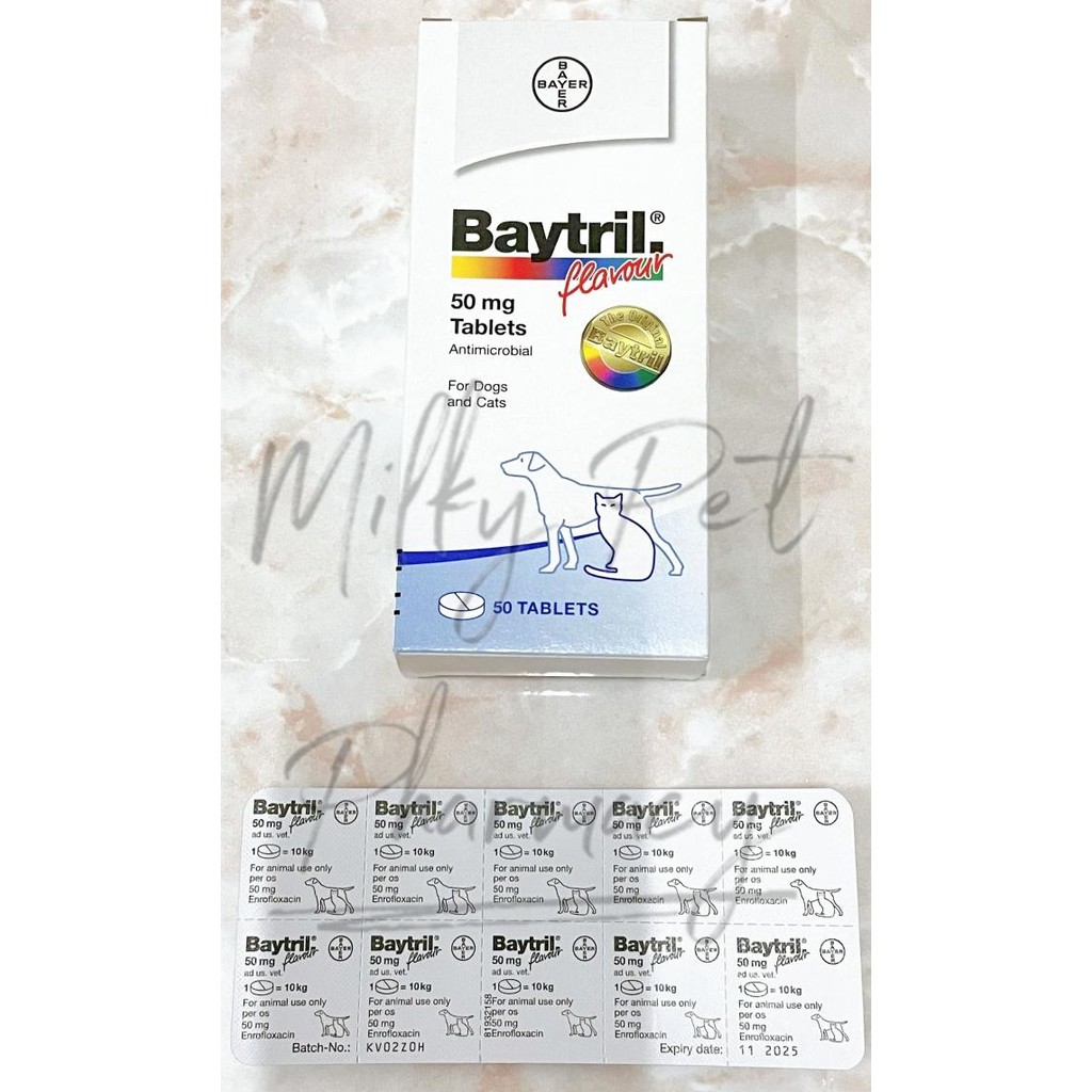 BAYTRIL FLAVOUR 1 STRIP (10 TABLETS)