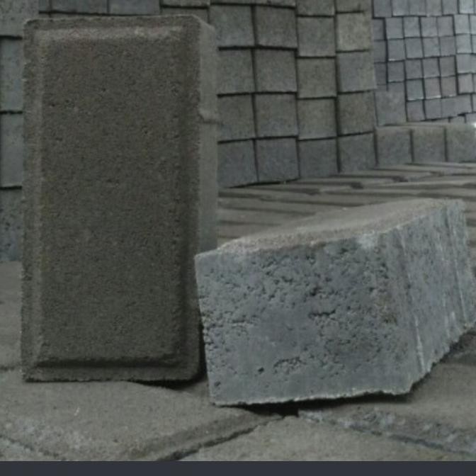 paving block / conblock / konblock /bata TIPE B K 250 LN