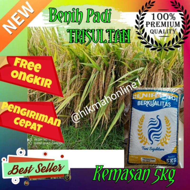 NEW PRODUCT BENIH BIBIT PADI TRISULTAN TRI SULTAN UNGGUL KEMASAN 5KG PITALOKAOUTLET23