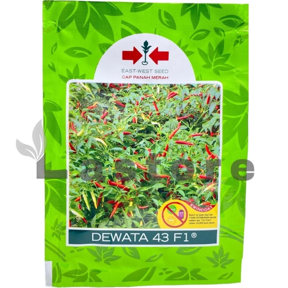 Benih Cabe Cabai Rawit Dewata 43 F1 Ii 2250 Butir Cap Merah