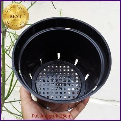Pot Bunga Anggrek 15cm | Jual Pot Plastik Orchid 15 cm Grosir Murah