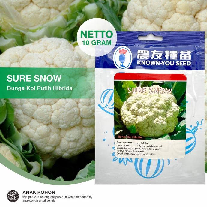 

( 1 PACK ) Benih Kembang Kol Hibrida SURE SNOW - Known You Seed murah