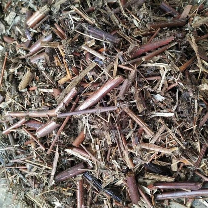 

Terlaris Media Tanam Andam 500 Grm Bagus Buat Tanaman Hias Dan Herbal