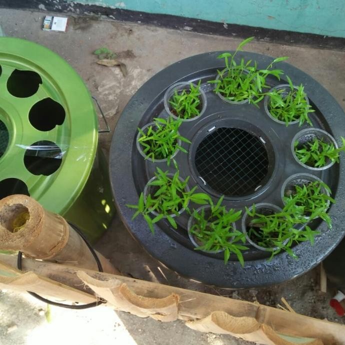 Ember Ternak Lele Budikdamber 80 Liter - Khusus Pengiriman Cargo