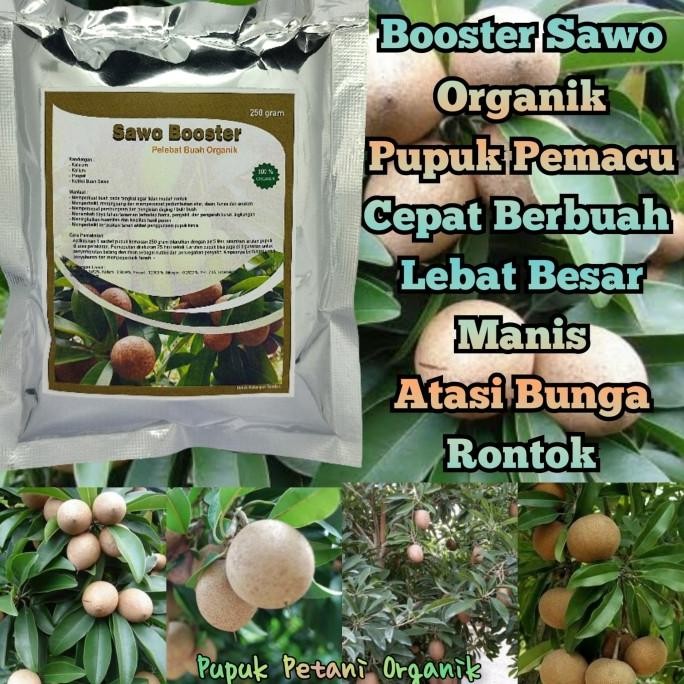

Terlaris Pupuk Organik Cepat Berbuah Pelebat Buah Sawo Dan Booster Sawo