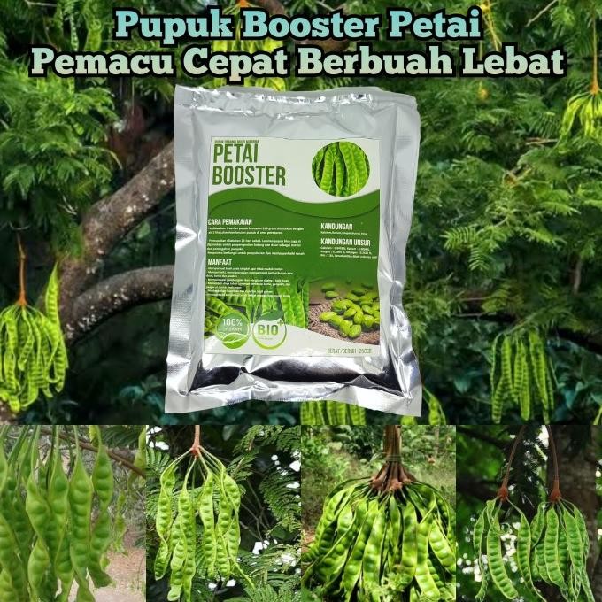 

Terlaris Pupuk Organik Booster Petai Pemicu Cepat Berbuah Lebat Dan Besar