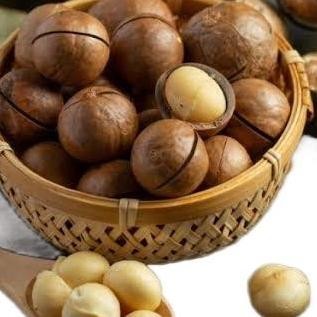 

1G Acang Macadaa Grati Alat Bua Roated Acang Macadaa Panggang Acang Ehat Groir Acang Macadaa