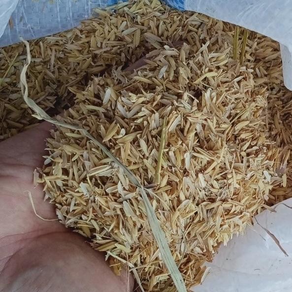 

Terlaris Media Tanam Sekam Padi Mentah Karungan Ukuran 25Kg