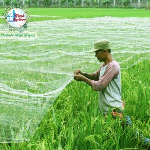 

Terlaris Jaring Burung 100 Yard (90 Meter) / Jaring Sawah / Jaring Ikan / Jaring Padi
