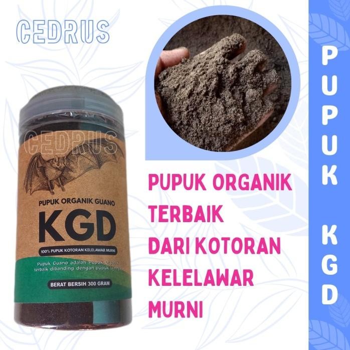 

Terlaris Kgd Pupuk Organik Terbaik Kotoran Kelelawar Murni