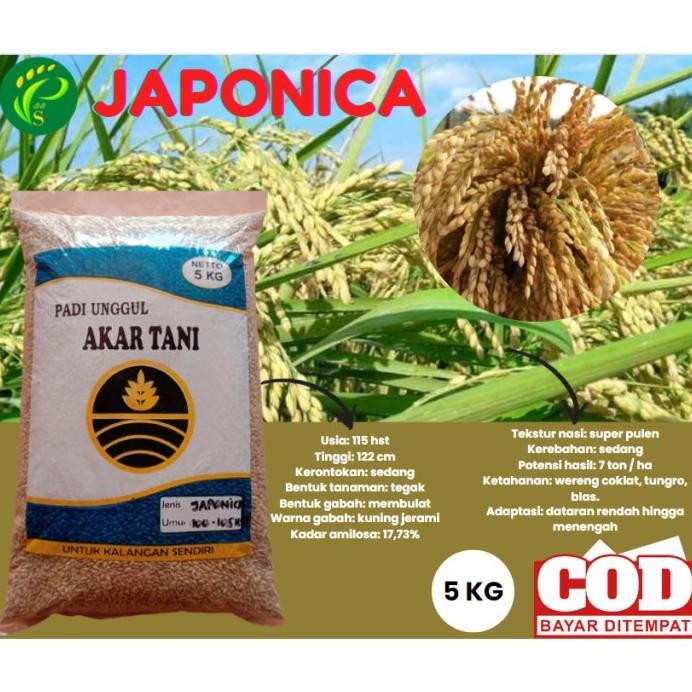 

Terlaris Benih Padi Jepang Japonica 5Kg