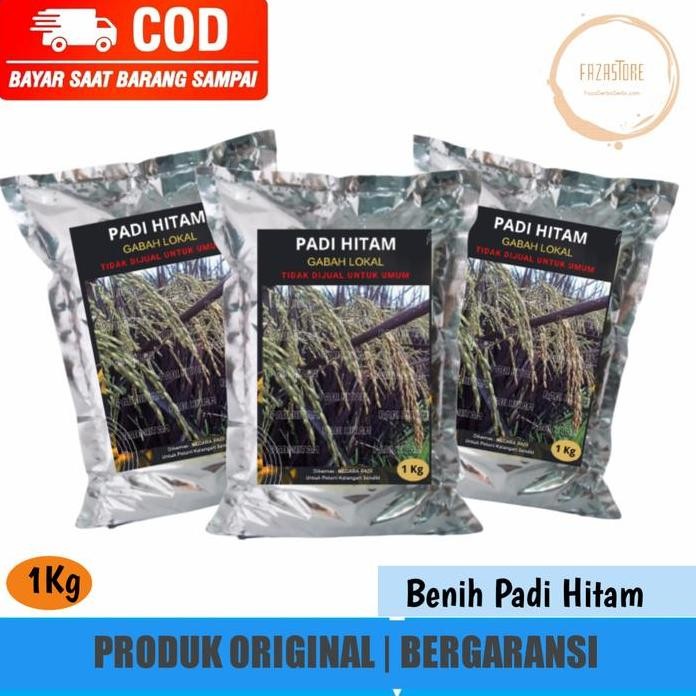 

Terlaris Padi Hitam Jaliteng/Beras Hitam Gabah Lokal 1 Kg Murah Promo