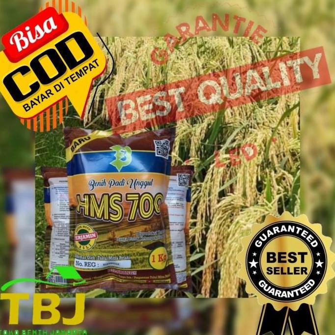 

Terlaris Biji Padi Unggul Hms 700 Unggul Super