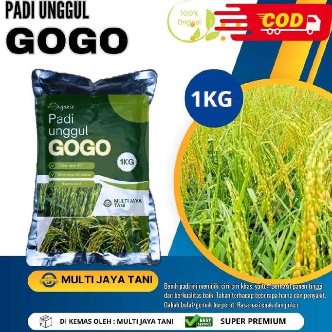 

Terlaris Benih Padi Gogo Kemasan 1Kg - Meningkatkan Hasil Panen Dan Kualitas Beras