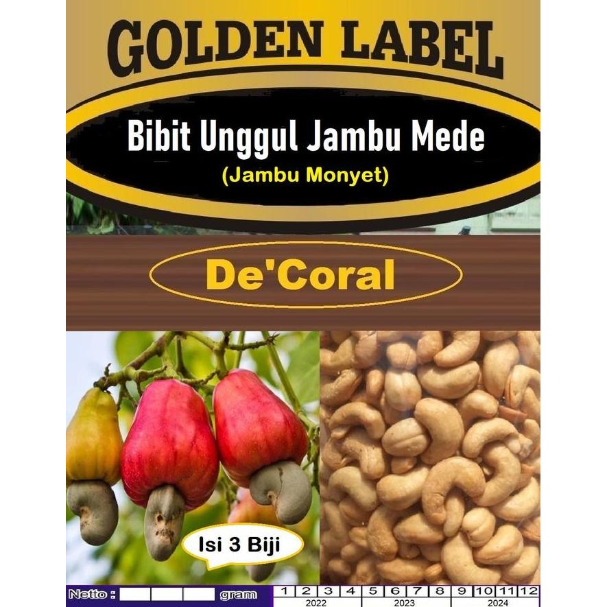 

Terlaris Bibit Unggul Jambu Mede|Jambu Monyet|Benih Jambu Mete|Kacang Mede