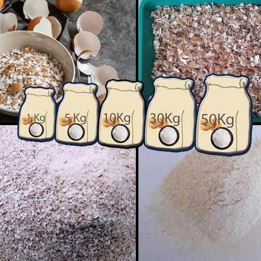 

Terlaris Tepung Kasium Cangkang Telur