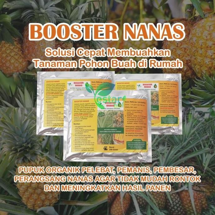 

Terlaris Pupuk Organik Booster Nanas Agar Cepat Berbuah