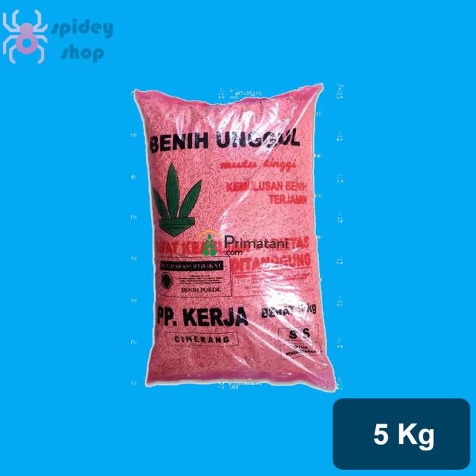 

Terlaris Benih Padi Pp Kerja Ciheran 5 Kg
