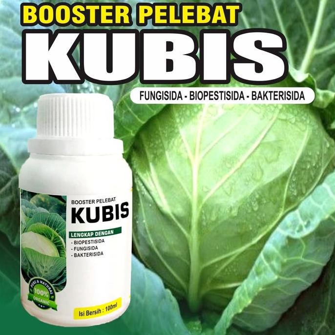 

Terlaris Pupuk Booster Kubis Pelebat Organik Cepat Berbuah Lebat 100Ml Murni Fermentasi Organik