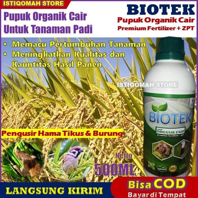 

Terlaris Poc Biotek Pupuk Organik Cair Pelebat Padi Anti Hama Tikus & Burung