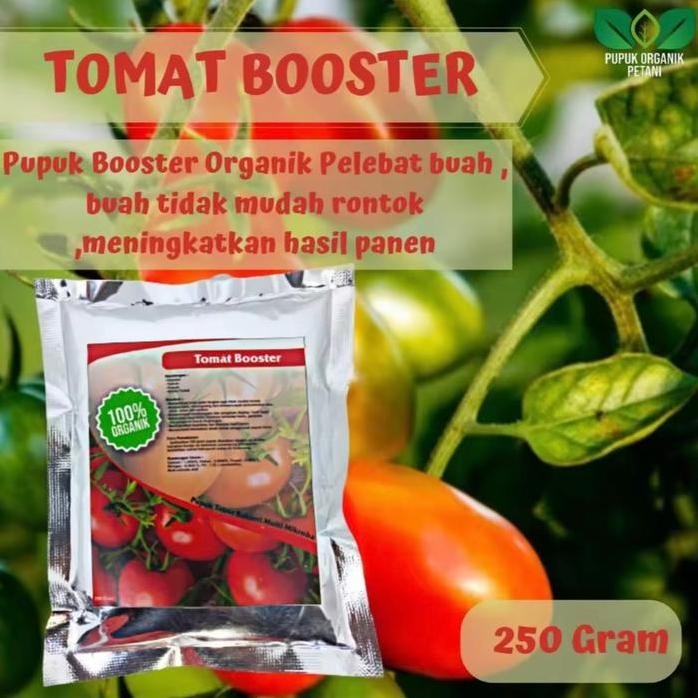 

Terlaris Pupuk Tomat Organik Terbaik Pupuk Booster Tomat Cepat Berbuah Lebat Pupuk Penyubur Tanaman Tomat Tanah Kalium