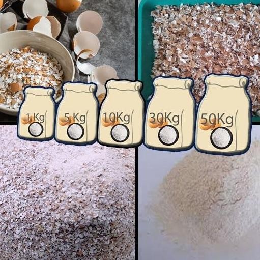 

Terlaris Tepung Kasium Cangkang Telur