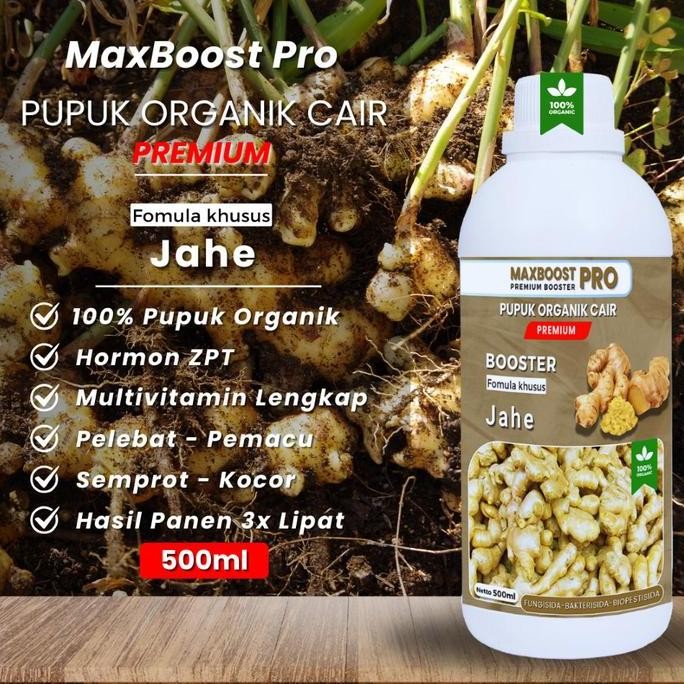 

Terlaris Pupuk Organik Cair Jahe, Jahe Merah, Booster Jahe, Maxboost Melebatkan Dan Memaksimalkan Hasil Panen2 Lipat Kemasan 500Ml