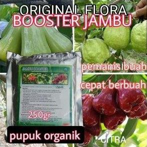 

Terlaris Booster Buah Jambu**Pupuk Organik Buah Jambu