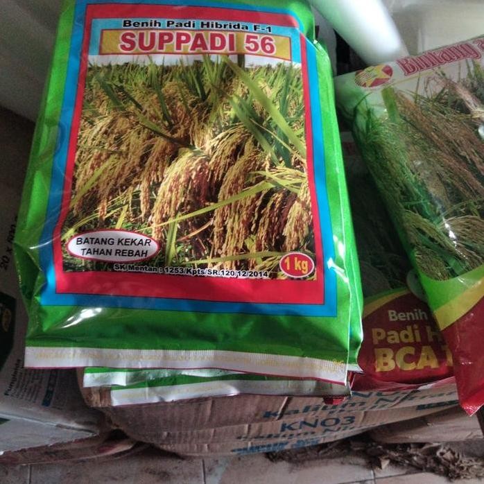 

Terlaris Benih Padi Suppadi 56