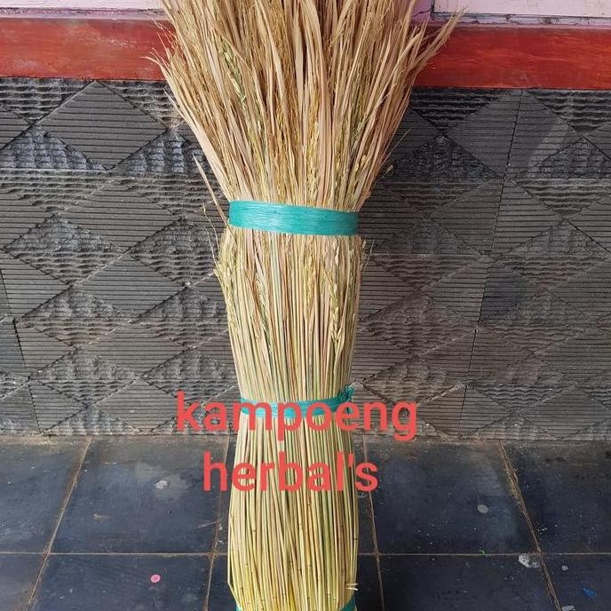 

Terlaris Jerami Padi Kering 1Kg Bersih Siap Pakai ( Dekorasi Dan Alas Sarang )