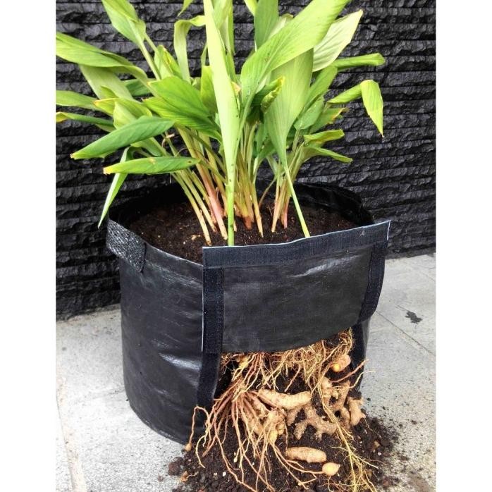 

Terlaris Rhizoma Large Planter Bag Pot Bibit Tanaman Rimpang Jahe Aajvee 4853Jl