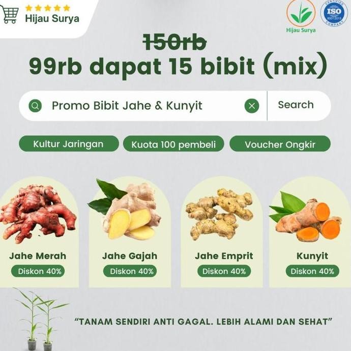 

Terlaris Original Paket Bibit Jahe Dan Kunyit Kultur Jaringan Hijau Surya Paket 15 Bibit