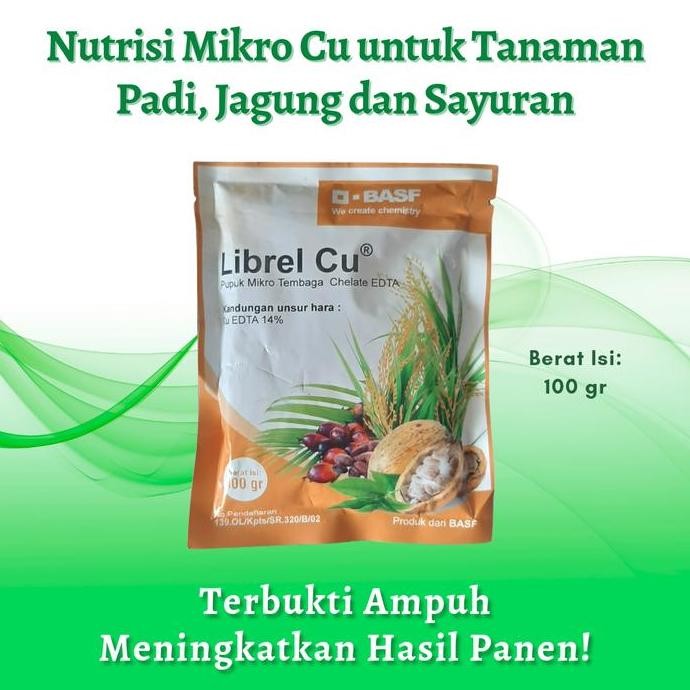 

Terlaris Nutrisi Mikro Cu Edta (100 G) Untuk Tanaman Padi, Jagung Dan Sayuran