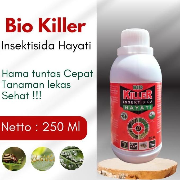 

Terlaris Bio Killer Obat Hama Padi Ampuh, Insektisida Hayati Atasi Kutu Kebul