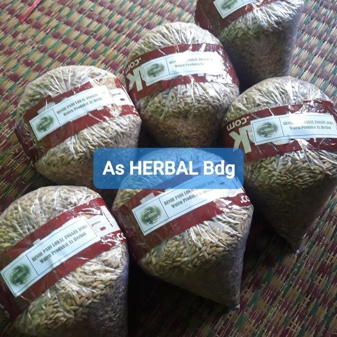 

Terlaris Jual Benih Padi Lokal Unggul Dan Pulen