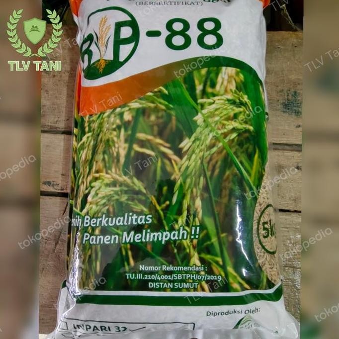 

Terlaris Benih Bibit Padi Hibrida Inpari 32 5Kg