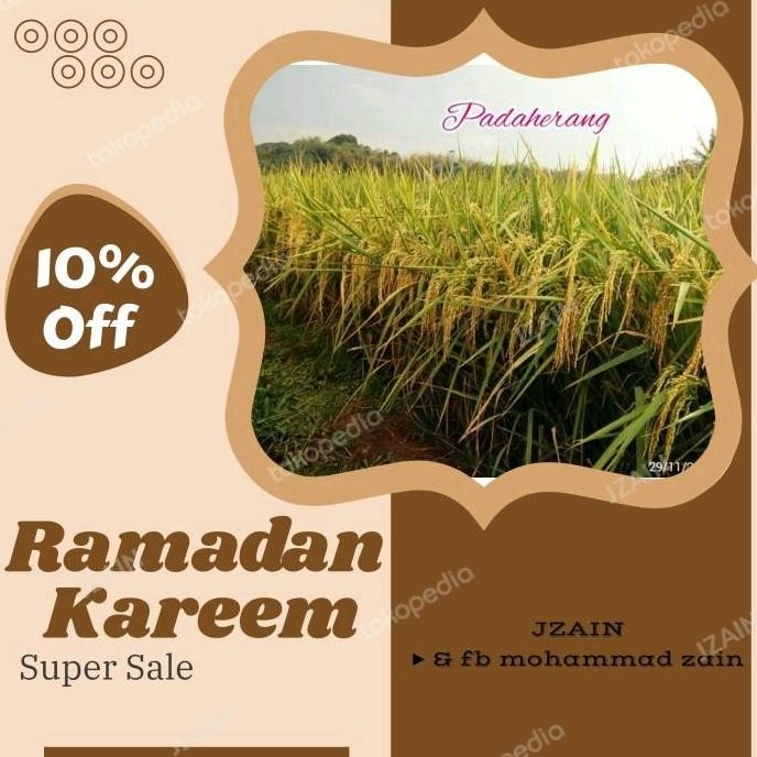 

Terlaris Benih Padi Unggul Padaherang 80 Hst