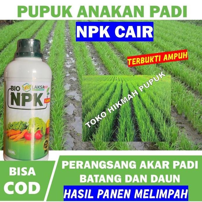

Terlaris (Promo) Obat Perbanyak Anakan Padi Yang Bagus Npk Laksa Penambah Bobot Padi Perbanyak Anakan Padi Hasil Panen Lebih Banyak Obat Penyubur Akar Anakan Padi Biar Kuat Di Musim Hujan