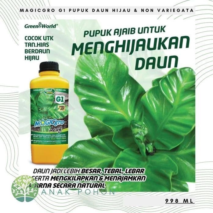 

Terlaris Promo Pupuk Organik Magicgro G1 - Pupuk Tanaman Hias Daun Hijau & Non