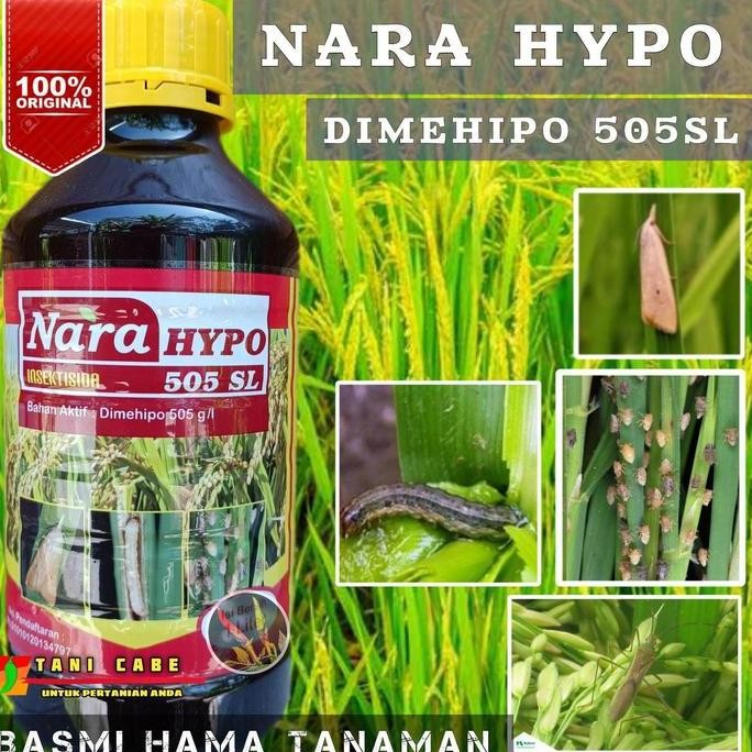 

Terlaris Insektisida Nara Hypo 505 Sl Hama Wereng Ulat Padi
