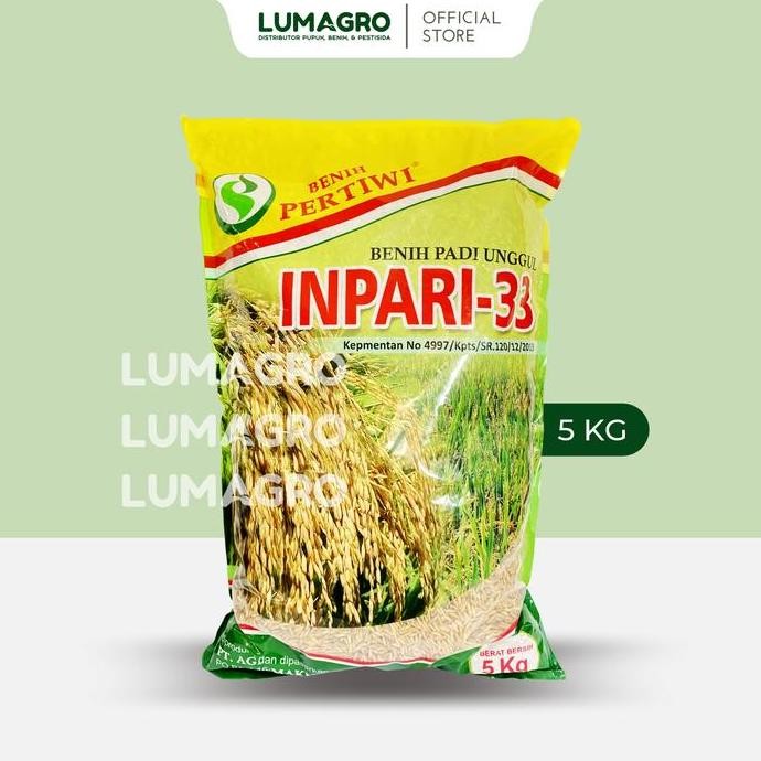 

Terlaris Benih Padi Pertiwi Inpari 33 5Kg Premium Bibit Pari Jumbo 5 Kilogram