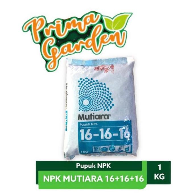 

Terlaris Pupuk Npk Mutiara 16-16-16 Kemasan 1 Kg