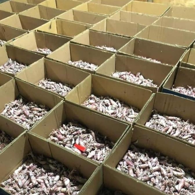 

baby cumi asin fresh - 100grm KHR