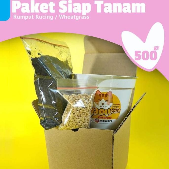 

Terlaris Diy Rumput Kucing /Rumput Gandum Paket Lengkap Pot/Media/Benih 20-25Gr