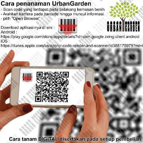 

Terlaris Mur.4H Benih Wheat Berries Wheat Grass Organic Import Rumput Gandum Organik