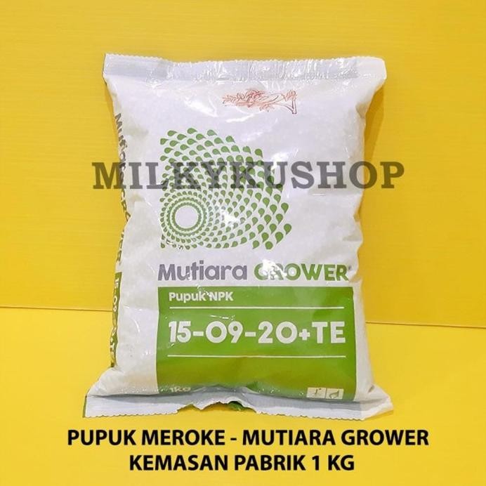

Terlaris Pupuk Npk Grower 15-09-20+Te Mutiara Meroke Kemasan Pabrik 1 Kg