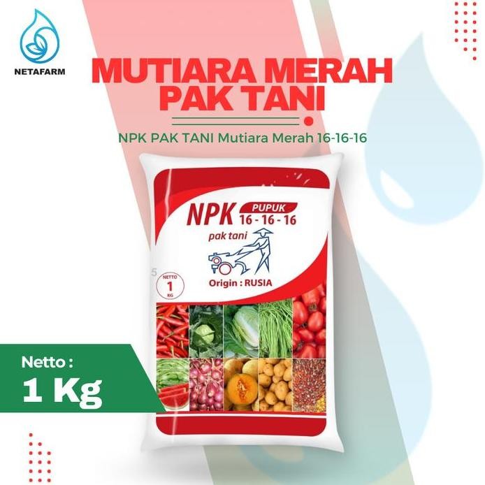 

Terlaris Pupuk Npk Pak Tani Mutiara Merah 16-16-16 Penyubur Tanaman 1 Kg