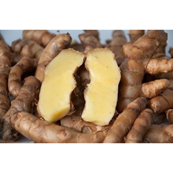 

Terlaris 500 Gram Umbi / Bibit Kunyit Putih