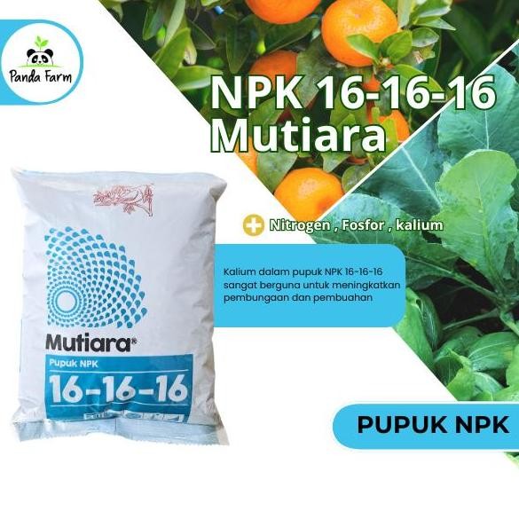

Terlaris Npk Mutiara 16-16-16 1Kg Kemasan Pabrik Pupuk Npk 16 16 16 1
