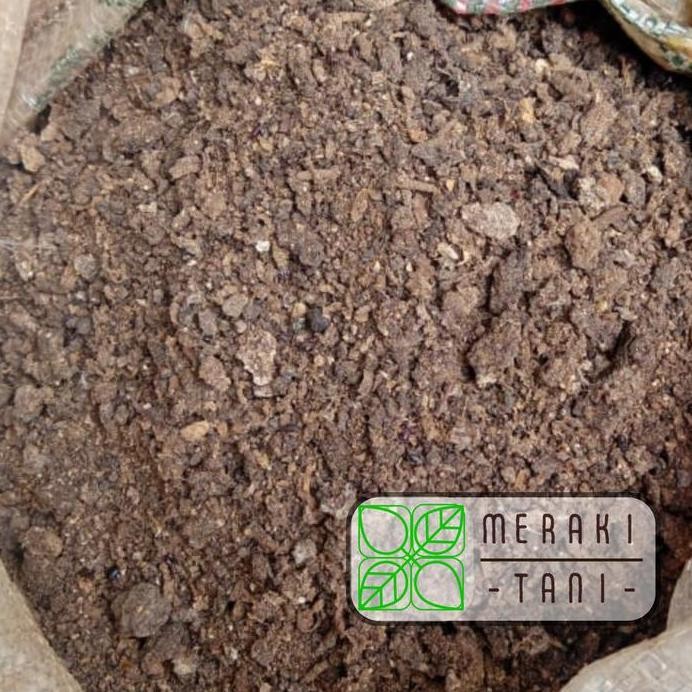 

Terlaris Pupuk Kandang Kotoran Ayam Murni Kasar Kering